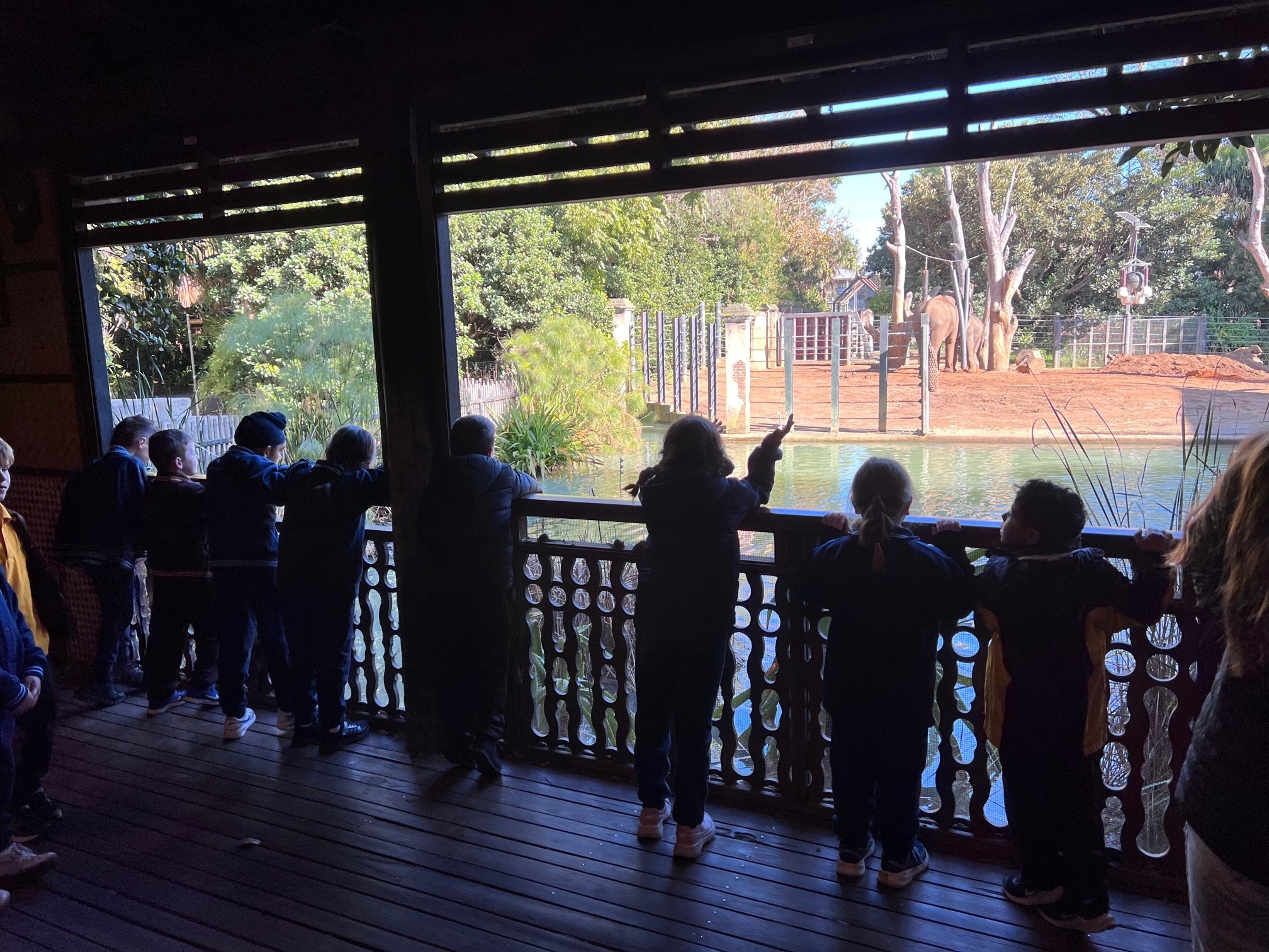 /uploaded_files/media/gallery/1659494477zoo 25.jpg